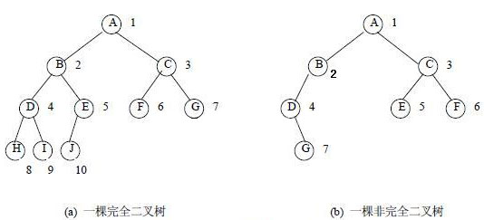 查看图片