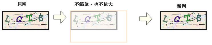 查看图片