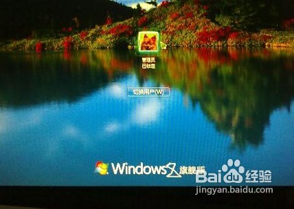 查看图片