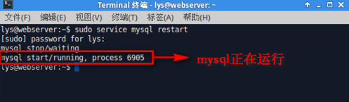 查看图片