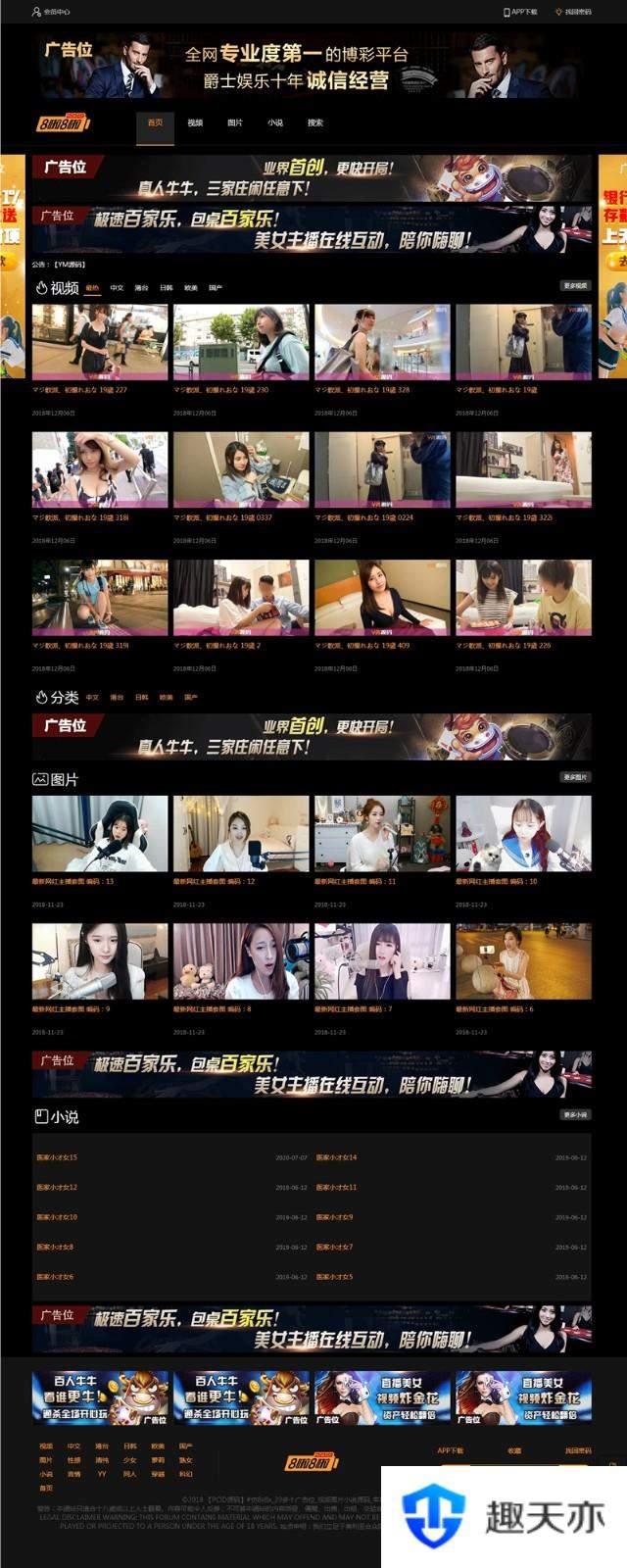 H站网站源码下载_带小说模块和图片自营式