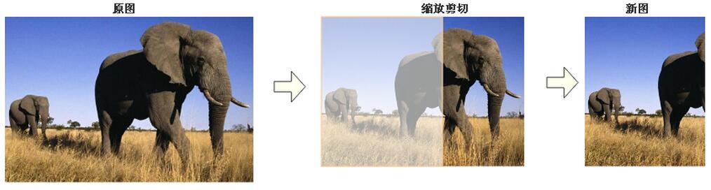查看图片