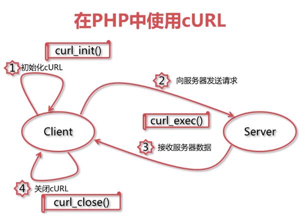 查看图片